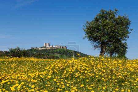 Téléchargez les photos : Campo florido y castillo, Evoramonte ( concejo de Estremoz), Alentejo, Portugal, europa - en image libre de droit