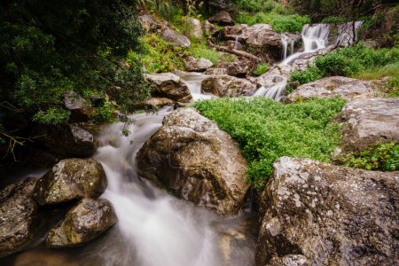 Téléchargez les photos : Torrente de Avall - torrente de Valldemossa-, Valldemosa, Sierra de Tramuntana, Mallorca, Islas Baleares, Espagne - en image libre de droit