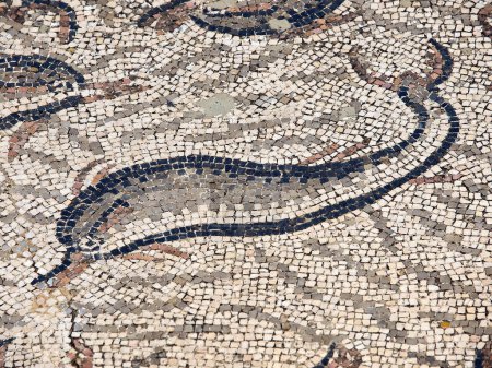 Foto de Mosaicos de la casa de orfeo.Ciudad Romana de Volubilis(II d.c.), yacimiento arqueologico.Marruecos. - Imagen libre de derechos