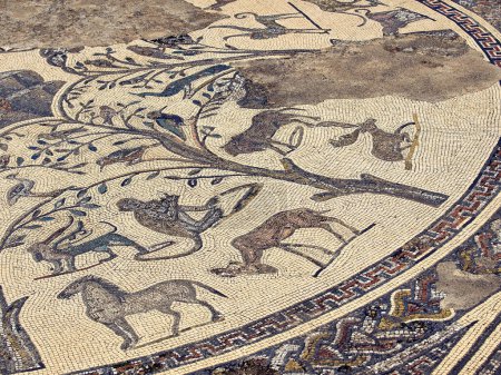 Photo for Mosaicos de la casa de orfeo.Ciudad Romana de Volubilis(II d.c.), yacimiento arqueologico.Marruecos. - Royalty Free Image