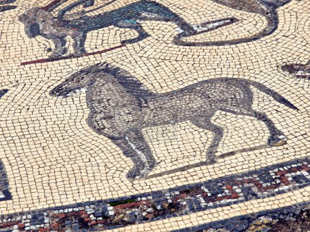 Photo for Mosaicos de la casa de orfeo.Ciudad Romana de Volubilis(II d.c.), yacimiento arqueologico.Marruecos. - Royalty Free Image