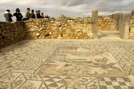 Foto de Mosaicos de la casa de Venus Ciudad Romana de Volubilis (II d.c.) .Marruecos. - Imagen libre de derechos
