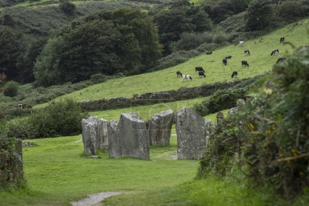 Téléchargez les photos : Cercle mégalithique de Drombeg, - L'autel du druid-, Rosscarbery approximativement à partir de l'année 150 a. c., Irlande, Royaume-Uni - en image libre de droit