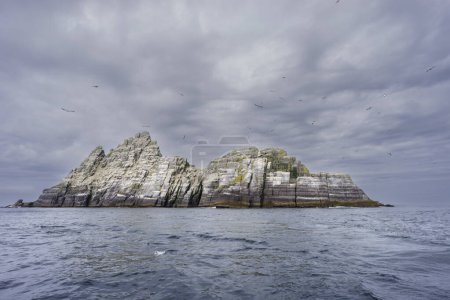 Téléchargez les photos : Sceilg Bheag, Skellig Rock Small, Irlande, Royaume-Uni - en image libre de droit