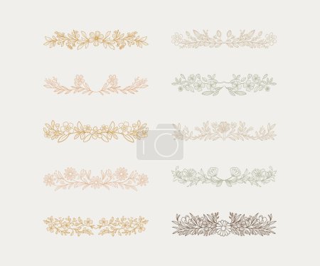 Illustration for A collection of elegant, hand-drawn floral dividers. Each design features intricate floral motifs with delicate lines and soft pastel colors, highlighting the artistic craftsmanship. These dividers can be used for various decorative purposes, such as - Royalty Free Image