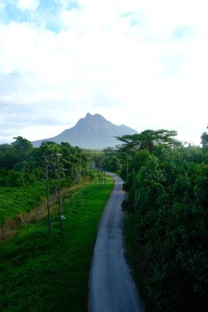 A picture of jungle and road with misty Gunung Santubong insight in the morning.