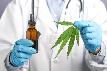 Photo for Doctor hand holding of a cannabis leaf and medical marijuana oil. Cannabis recipe for personal use, legal light drugs prescribe, alternative remedy or medication,medicine concept. Close-up photo. - Royalty Free Image
