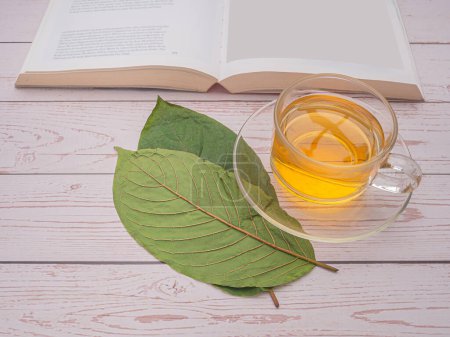 Top view of Mitragyna Speciosa or Kratom leaves with a teacup and a book on a wooden table with copy space for text. Close-up photo. Medical and herbal concept.