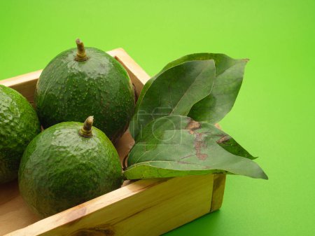 Avocados und grüne Blätter liegen isoliert in einer Holzkiste auf grünem Hintergrund. Nahaufnahme. Konzept der gesunden Früchte.