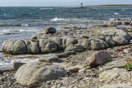 Foto de Flowers Cove, Newfoundland, Canadá: Uno de los dos lugares en la Tierra donde se sabe que existen trombolitas, que son montículos en forma de bollo construidos por microorganismos.. - Imagen libre de derechos