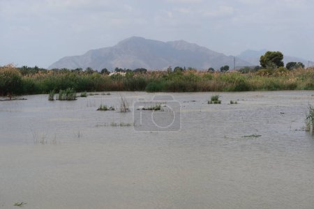 El Hondo Natural Park, Crevillente, Alicante, Spain, April 18, 2024: One of the lagoons with the mountains in the background of the El Hondo natural park