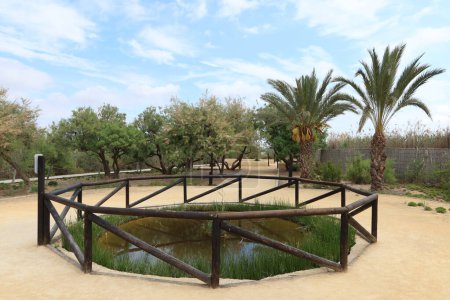 Parc naturel El Hondo, Crevillente, Alicante, Espagne, 18 avril 2024 : Jardin avec une petite lagune dans le centre d'interprétation du parc naturel El Hondo