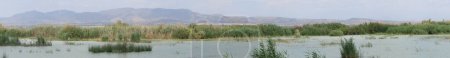 El Hondo Natural Park, Crevillente, Alicante, Spain, April 18, 2024: Panoramic of one of the lagoons full of birds in the El Hondo natural park