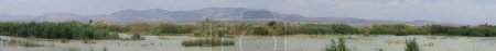 Parc naturel El Hondo, Crevillente, Alicante, Espagne, 18 avril 2024 : Panoramique de l'un des lagons avec des montagnes en arrière-plan du parc naturel El Hondo