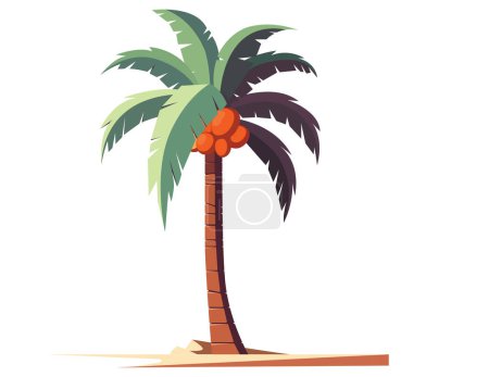 Illustration for Illustration of isolated palm tree with coconuts - Royalty Free Image
