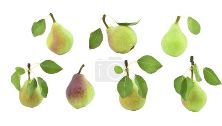 Téléchargez les photos : Ensemble de fruits de poire mûrs avec des feuilles isolées sur fond blanc. Clapps poiriers préférés. - en image libre de droit