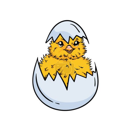 Ilustración de Una ilustración a color brillante de un pequeño polluelo en una cáscara de huevo. Imagen vectorial para niños libro, tarjeta e impresión. Ilustración vectorial - Imagen libre de derechos
