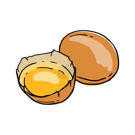 Egg. Yolk and white. Culinary ingredient. Bright hand drawn vector illustration isolated on white background. Vector illustration