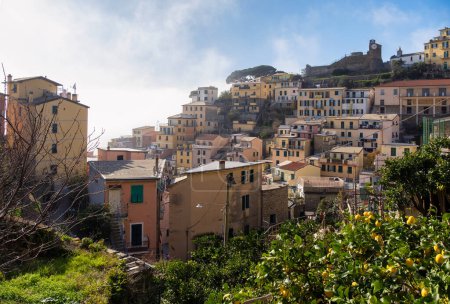 Foto de Vista de las coloridas casas a lo largo de la costa de la zona de Cinque Terre en Riomaggiore, Liguria, Italia - Día nublado - Imagen libre de derechos
