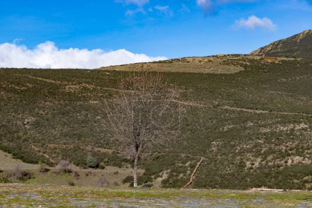 Photo for Mountains. Green mountains in the municipality of El Atazar, north of the Community of Madrid. Sunny day with air and clouds decorating the sky. Iron decoration on the green grass. Farmer. Donkey. - Royalty Free Image