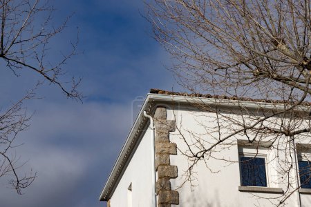 Photo for Building. White colored building next to some bare and leafless trees in the surroundings. Building corner. - Royalty Free Image
