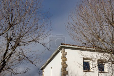 Foto de Building. White colored building next to some bare and leafless trees in the surroundings. Building corner. - Imagen libre de derechos