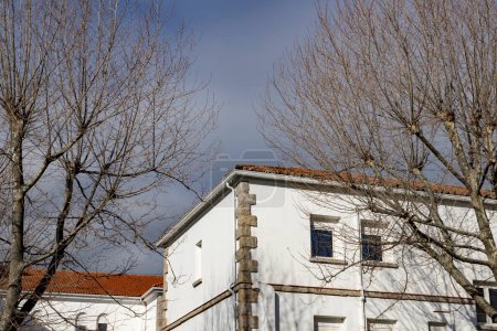 Foto de Building. White colored building next to some bare and leafless trees in the surroundings. Building corner. - Imagen libre de derechos