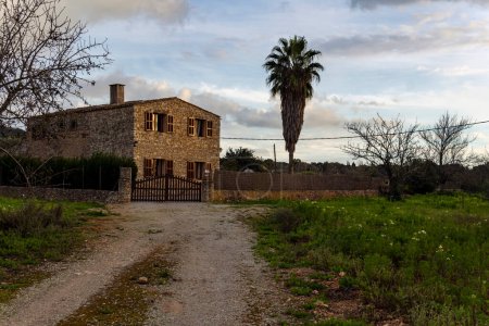 Photo for Felanitx, Spain; january 13 2023: House with a vineyard crop on a winter day at sunset. Island of Mallorca, Spain - Royalty Free Image