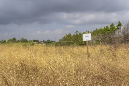 Téléchargez les photos : Terrain abandonné et sec avec un panneau "à vendre" écrit en espagnol. Île de Majorque, Espagne - en image libre de droit