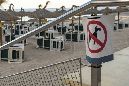 Primer plano de un cartel que prohíbe la entrada de perros en una cala de la isla de Mallorca al atardecer