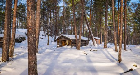 Téléchargez les photos : Snowy forest with log cabin in Finland. - en image libre de droit