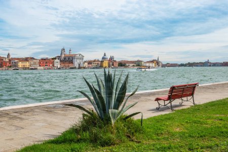 Téléchargez les photos : Aloe Vera plant and wooden bench at the waterfront of Giudecca canal in Venice, Italy. - en image libre de droit