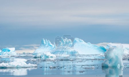 Schöner abstrakter drachenförmiger Eisberg in der Nähe der Fischinseln in der Antarktis.