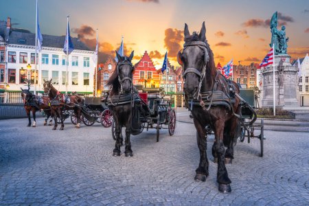 Bruges carriage horses on Market Square at dusk, Belgium.