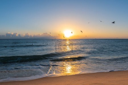 Téléchargez les photos : Lever de soleil à la plage de miami, Floride. - en image libre de droit
