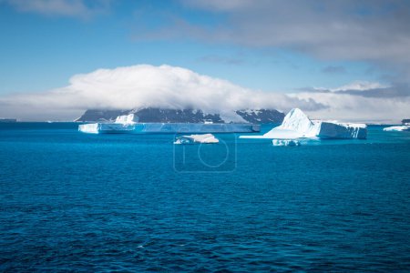 Icebergs in the sea. Brown Bluff, Antarctica.