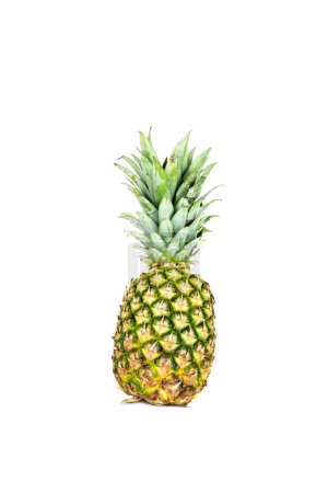 Téléchargez les photos : Ananas frais entier isolé sur fond blanc. Fruits tropicaux d'été. - en image libre de droit