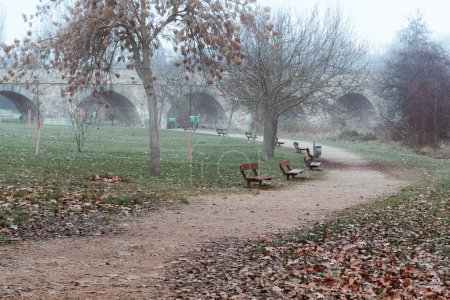 Dirt path crosses a grassy park with a view of the Roman bridge in Salamanca. Park photographed in winter with bare trees and dirt paths covered in fallen leaves.