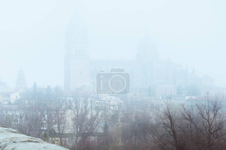 Kathedrale von Salamanca im Nebel an einem kalten Wintertag (Spanien)).