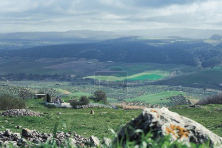Ansichten einer Naturlandschaft in Ronda. Länder mit großer landwirtschaftlicher Fruchtbarkeit. Blick auf Natur und Plantagen. Grüne Landschaft mit großen Weiten von Gras.