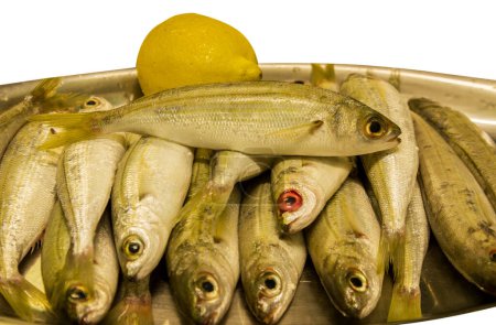 pescado fresco Boops familia Sparidae con limón aislado sobre fondo blanco