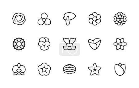 Illustration for Isolated collection linear icons of flowers. Flora. Orchid, periwinkle, petunia, tradescantia, snapdragon, sunflower, tulip and more. Vector icons of flowers for web sites on white background. - Royalty Free Image