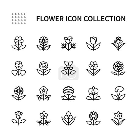 Illustration for Vector set linear icons of flowers. Flora. Orchid, periwinkle, petunia, tradescantia, snapdragon, sunflower, tulip and more. Isolated collection of flowers for web sites on white background. - Royalty Free Image