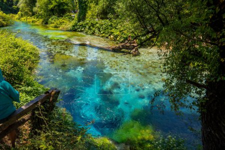 Téléchargez les photos : L'Albanais aux yeux bleus : Syri i Kalter, est une source d'eau près de Muzine dans le comté de Vlore, au sud de l'Albanie. Une attraction touristique populaire. Les bulles d'eau d'une piscine de plus de cinquante mètres de profondeur. - en image libre de droit