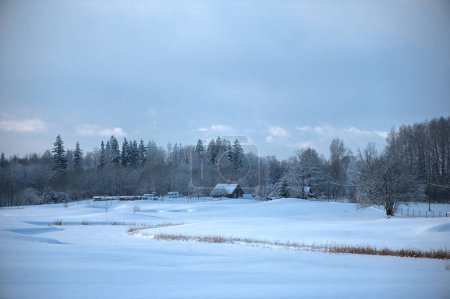Photo for Winter landscape with snowy roofs of houses and forest in the distance - Royalty Free Image