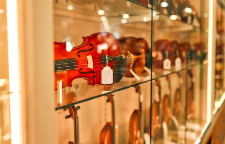 Foto de Buying a violin in a musical instrument store. An assortment of violins displayed on store shelves. Hobbies and recreation. - Imagen libre de derechos