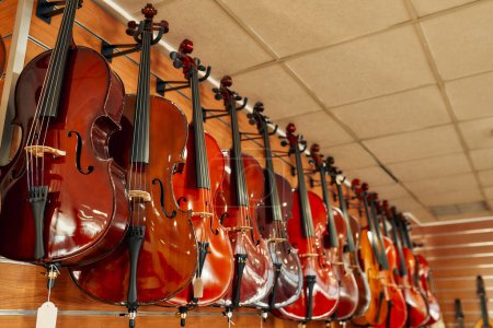 Foto de Comprar un violín en una tienda de instrumentos musicales. Muchos violines diferentes colgando en la pared de la tienda en venta. Aficiones y recreación. - Imagen libre de derechos