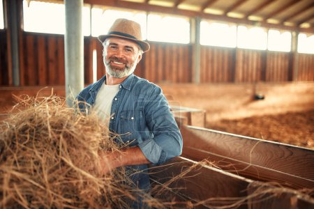 Photo for Mature handsome male farmer in a hat collecting hay to feed livestock in a barn on a farm. Farming and agriculture concept. - Royalty Free Image