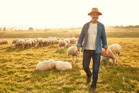 Téléchargez les photos : Mature beau fermier masculin dans un chapeau avec son troupeau de moutons pâturant dans le champ. Concept d'agriculture et d'agriculture. - en image libre de droit