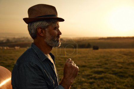 Photo for Mature handsome male farmer in a hat standing near a tractor in a field at dusk after a hard day of work. Agriculture and agriculture concept. - Royalty Free Image